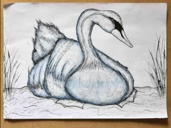 16 megjunarodna izlozhba na deca i mladinci Flora i fauna - izvor na zhivotot i ubavinata 1