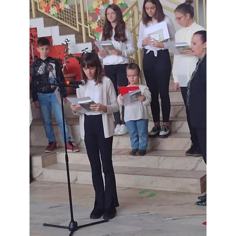 Учество на книжевна манифестација