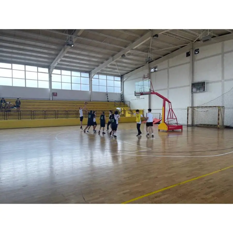 Зонски турнир во кошарка