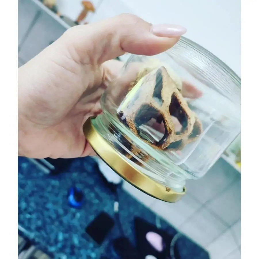 Ние во улога на миколози