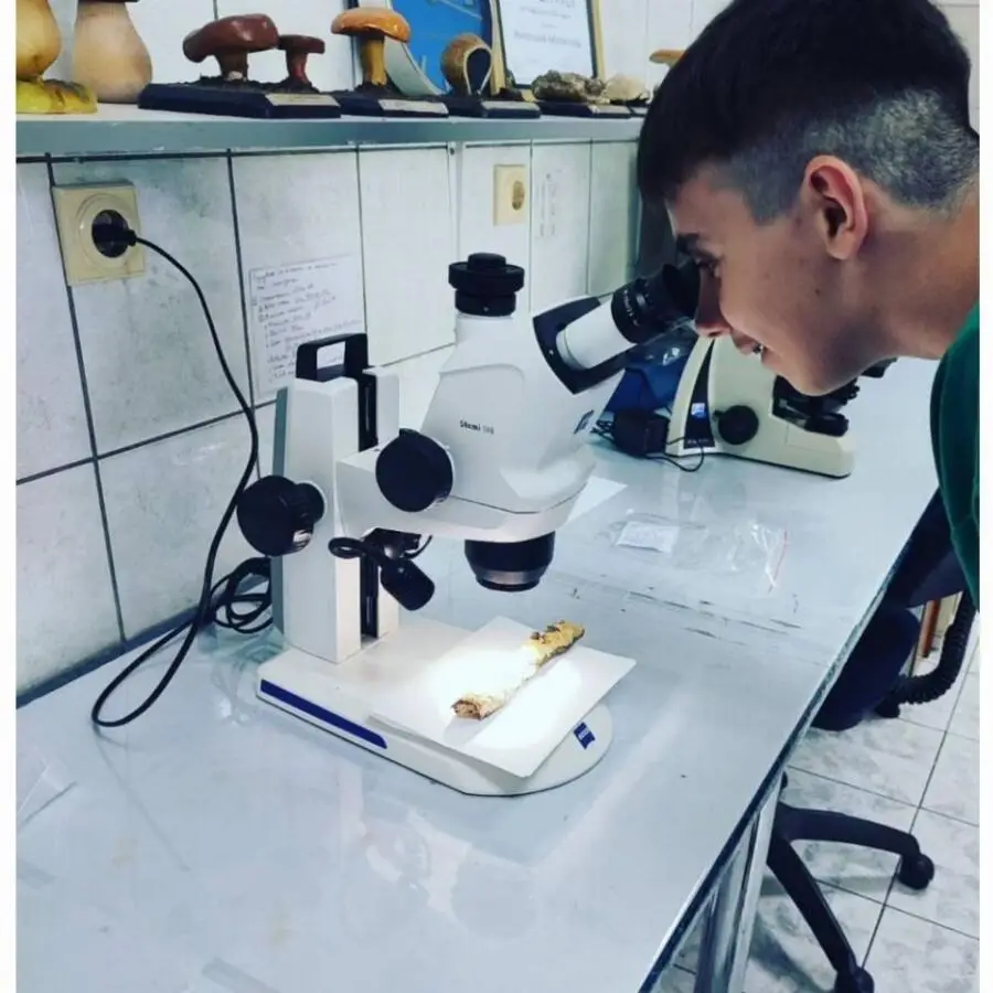 Ние во улога на миколози