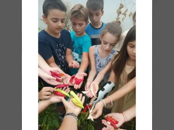 Esenska berba vo nashata uchilishna gradina 1